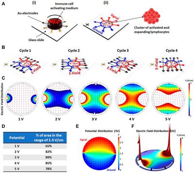 Healing Field: Using Alternating Electric Fields to Prevent Cytokine Storm by Suppressing Clonal Expansion of the Activated Lymphocytes in the Blood Sample of the COVID-19 Patients